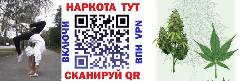Виды наркоты Новосибирск МЕТАДОН  A-PVP  Мефедрон  АМФЕТАМИН  Конопля  kraken как зайти  Гашиш 