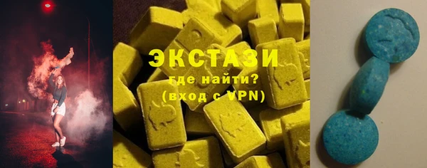 гашик Тихвин