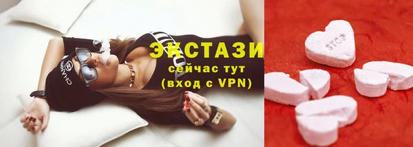 гашик Тихвин
