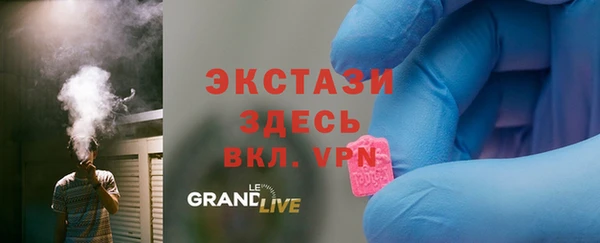 шишки Гусев