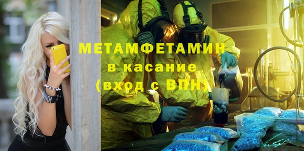 шишки Гусев