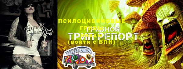 прущие крисы Гусь-Хрустальный