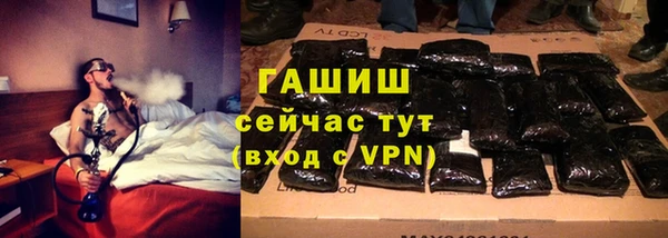шишки Гусев