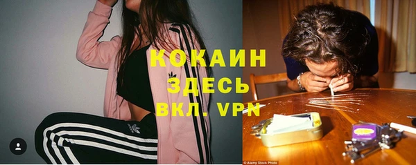 гашик Тихвин