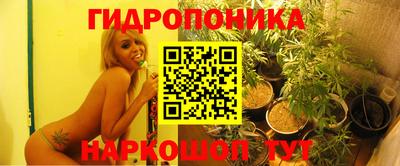 мяу мяу мука Гусев