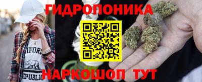 мяу мяу мука Гусев