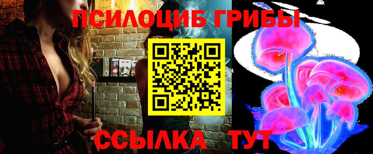 Новосибирск  Галлюциногенные грибы мицелий  цена   Вход с VPN  Галлюциногенные грибы Cubensis 